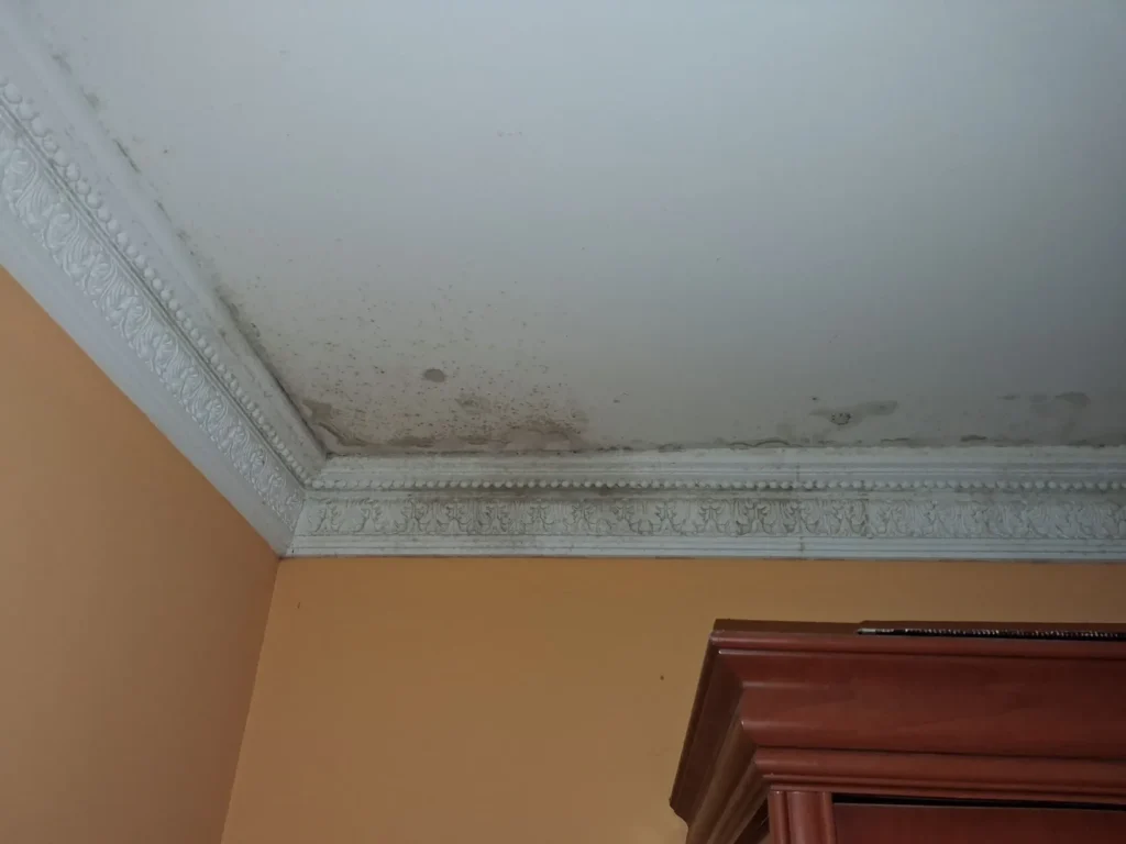 ejemplo de humedad en paredes interiores antes del tratamiento